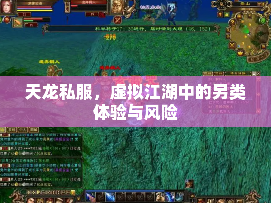 天龙私服，虚拟江湖中的另类体验与风险