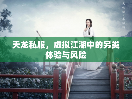 天龙私服，虚拟江湖中的另类体验与风险