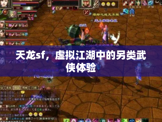 天龙sf，虚拟江湖中的另类武侠体验