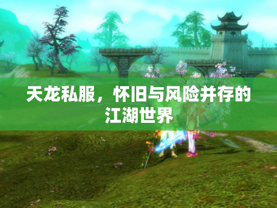 天龙私服，怀旧与风险并存的江湖世界