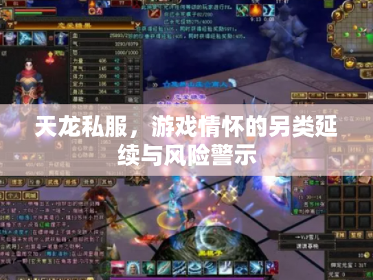 天龙私服，游戏情怀的另类延续与风险警示