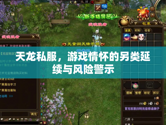 天龙私服，游戏情怀的另类延续与风险警示
