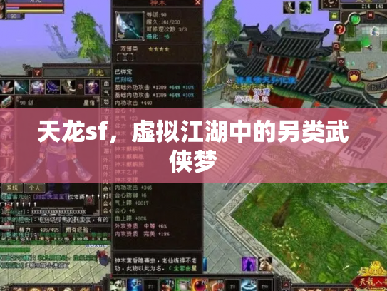 天龙sf，虚拟江湖中的另类武侠梦