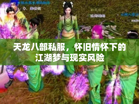 天龙八部私服，怀旧情怀下的江湖梦与现实风险