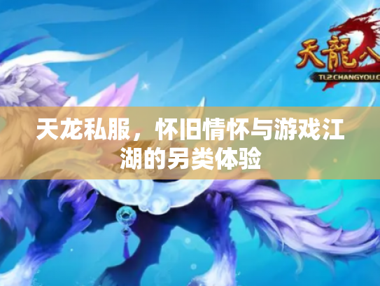天龙私服，怀旧情怀与游戏江湖的另类体验