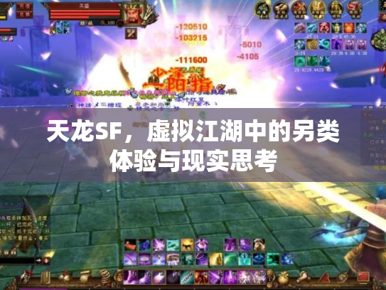 天龙SF，虚拟江湖中的另类体验与现实思考
