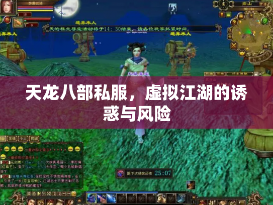 天龙八部私服，虚拟江湖的诱惑与风险