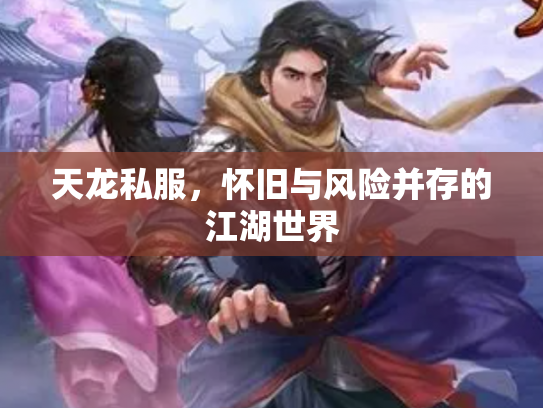 天龙私服，怀旧与风险并存的江湖世界