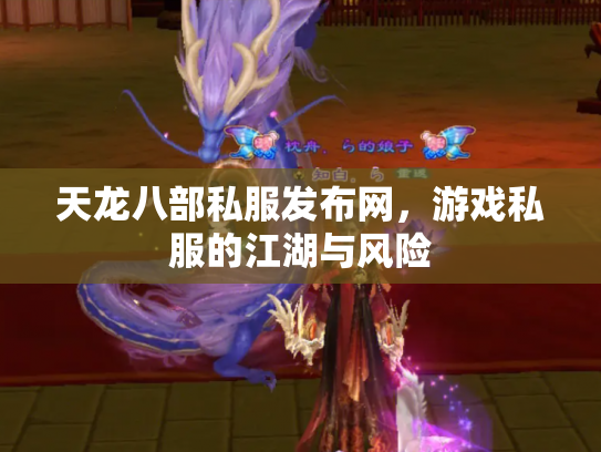 天龙八部私服发布网，游戏私服的江湖与风险