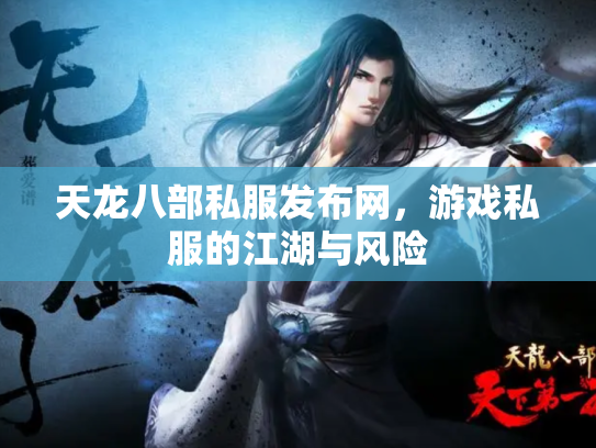 天龙八部私服发布网，游戏私服的江湖与风险