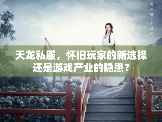 天龙私服，怀旧玩家的新选择还是游戏产业的隐患？
