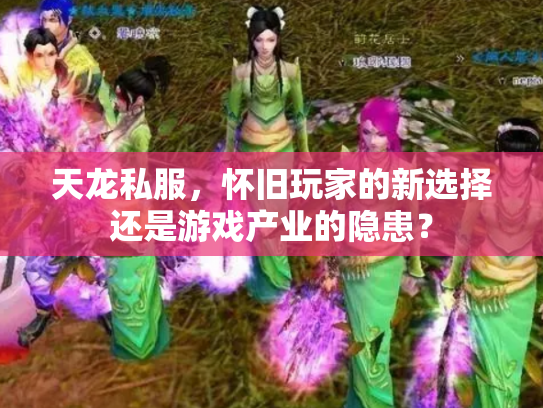 天龙私服，怀旧玩家的新选择还是游戏产业的隐患？
