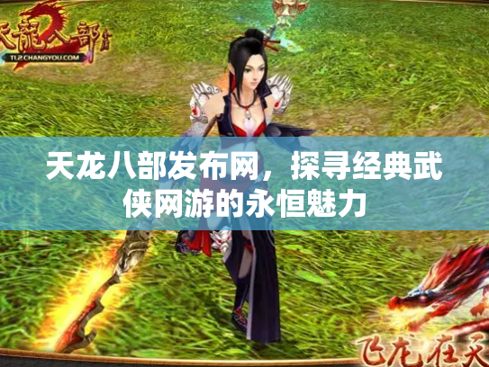 天龙八部发布网，探寻经典武侠网游的永恒魅力