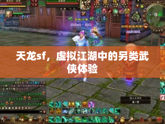 天龙sf，虚拟江湖中的另类武侠体验