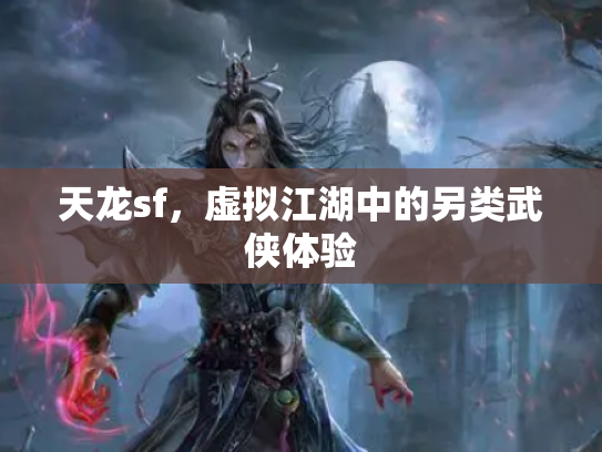 天龙sf，虚拟江湖中的另类武侠体验