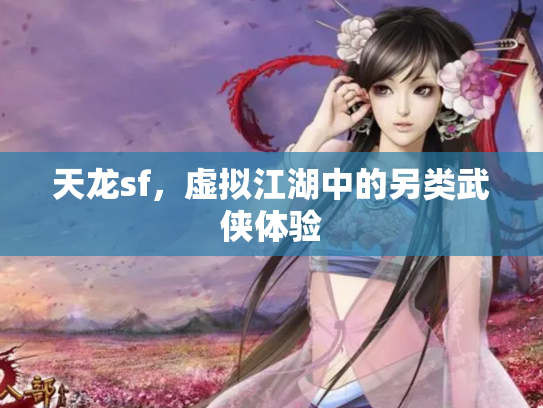 天龙sf，虚拟江湖中的另类武侠体验