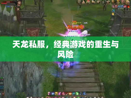 天龙私服，经典游戏的重生与风险