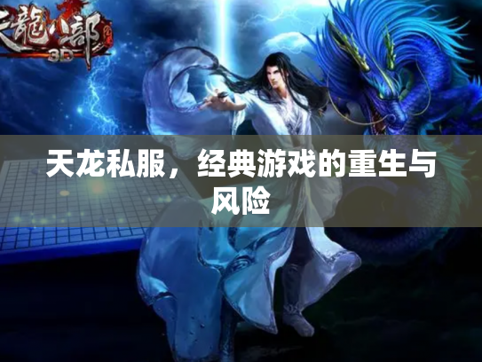 天龙私服，经典游戏的重生与风险