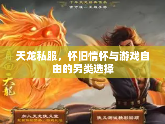 天龙私服，怀旧情怀与游戏自由的另类选择