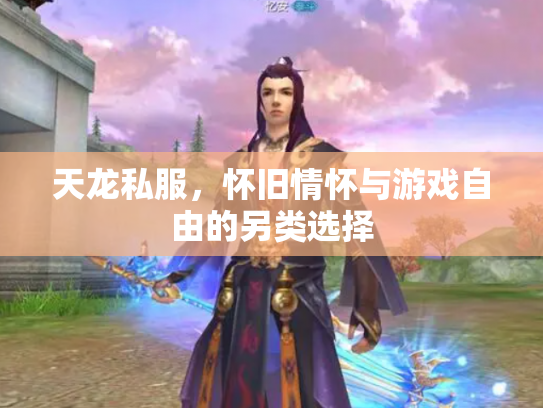 天龙私服，怀旧情怀与游戏自由的另类选择