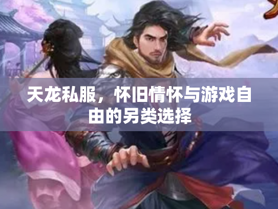 天龙私服，怀旧情怀与游戏自由的另类选择