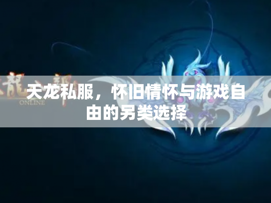 天龙私服，怀旧情怀与游戏自由的另类选择