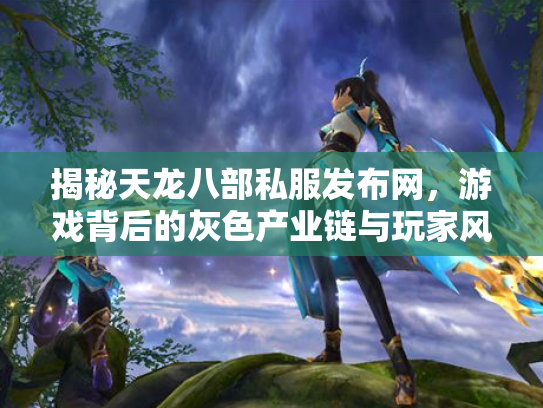 揭秘天龙八部私服发布网，游戏背后的灰色产业链与玩家风险