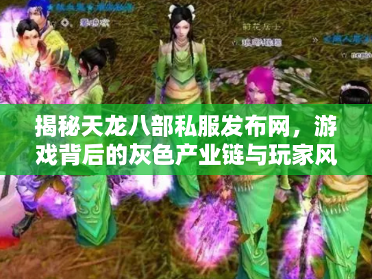 揭秘天龙八部私服发布网，游戏背后的灰色产业链与玩家风险