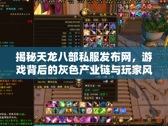 揭秘天龙八部私服发布网，游戏背后的灰色产业链与玩家风险