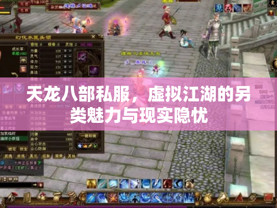天龙八部私服，虚拟江湖的另类魅力与现实隐忧