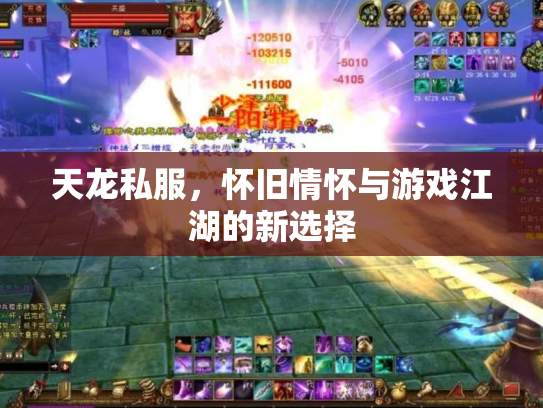 天龙私服，怀旧情怀与游戏江湖的新选择