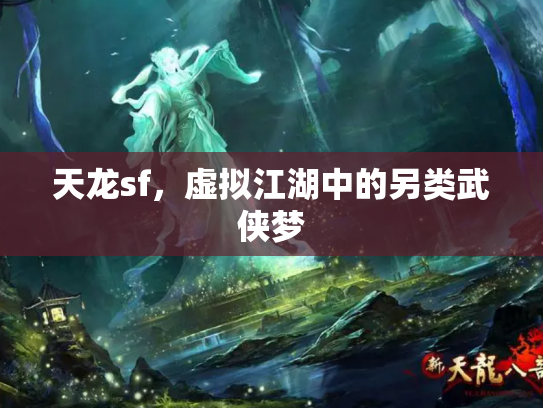 天龙sf，虚拟江湖中的另类武侠梦