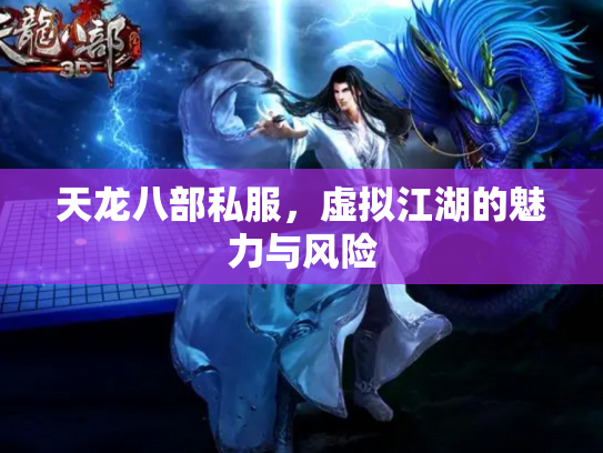 天龙八部私服，虚拟江湖的魅力与风险