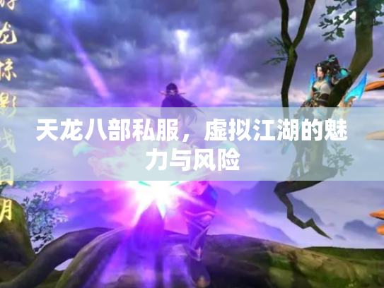 天龙八部私服，虚拟江湖的魅力与风险