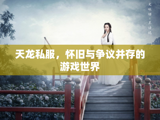 天龙私服，怀旧与争议并存的游戏世界