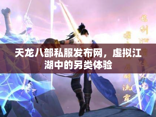 天龙八部私服发布网，虚拟江湖中的另类体验