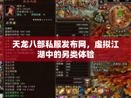 天龙八部私服发布网，虚拟江湖中的另类体验
