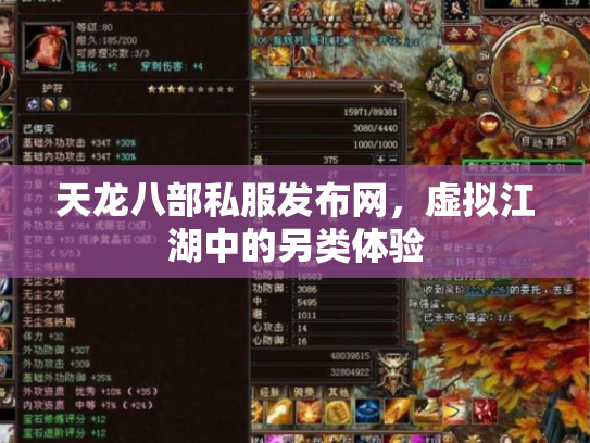 天龙八部私服发布网，虚拟江湖中的另类体验