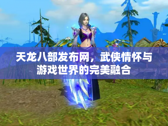 天龙八部发布网，武侠情怀与游戏世界的完美融合