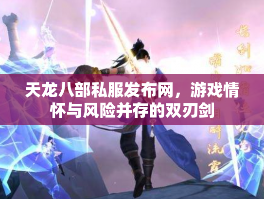 天龙八部私服发布网，游戏情怀与风险并存的双刃剑