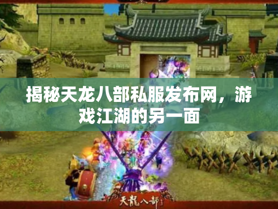 揭秘天龙八部私服发布网，游戏江湖的另一面