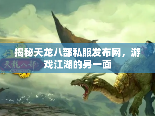 揭秘天龙八部私服发布网，游戏江湖的另一面