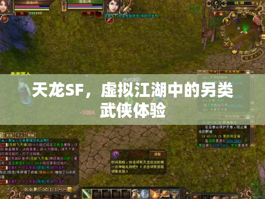 天龙SF，虚拟江湖中的另类武侠体验