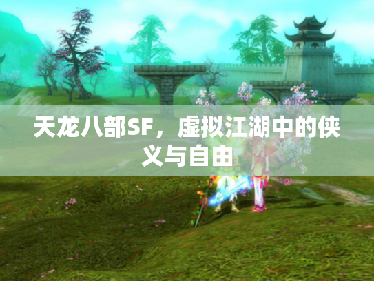 天龙八部SF，虚拟江湖中的侠义与自由