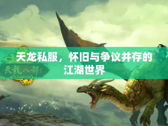 天龙私服，怀旧与争议并存的江湖世界