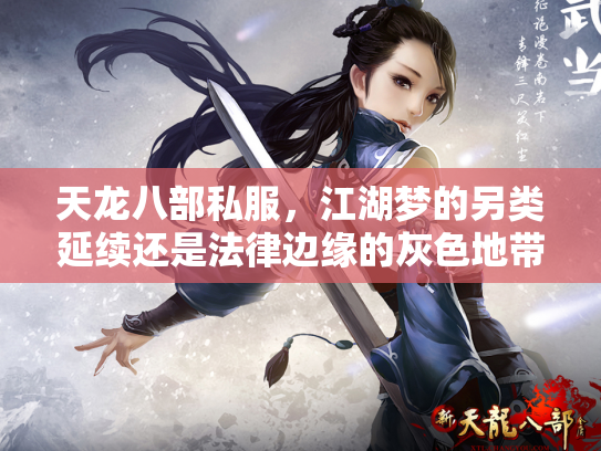 天龙八部私服，江湖梦的另类延续还是法律边缘的灰色地带？
