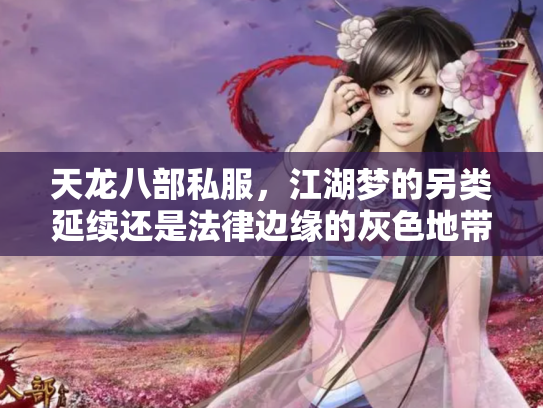 天龙八部私服，江湖梦的另类延续还是法律边缘的灰色地带？