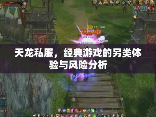 天龙私服，经典游戏的另类体验与风险分析