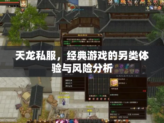 天龙私服，经典游戏的另类体验与风险分析