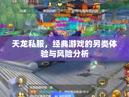天龙私服，经典游戏的另类体验与风险分析